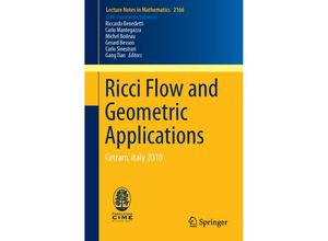 9783319423500 - Ricci Flow and Geometric Applications - Michel Boileau Gerard Besson Carlo Sinestrari Gang Tian Kartoniert (TB)