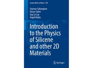 9783319465708 - Introduction to the Physics of Silicene and other 2D Materials - Seymur Cahangirov Hasan Sahin Guy Le Lay Angel Rubio Kartoniert (TB)