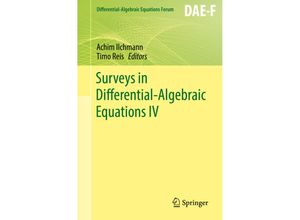 9783319466170 - Differential-Algebraic Equations Forum   Surveys in Differential-Algebraic Equations IV Kartoniert (TB)