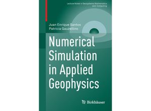 9783319484563 - Lecture Notes in Geosystems Mathematics and Computing   Numerical Simulation in Applied Geophysics - Juan Enrique Santos Patricia Mercedes Gauzellino Kartoniert (TB)