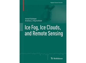 9783319511382 - Ice Fog Ice Clouds and Remote Sensing - Ismail Gultepe Andrew J Heymsfield Kartoniert (TB)