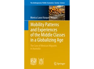 9783319533926 - Mobility Patterns and Experiences of the Middle Classes in a Globalizing Age - Monica Laura Vazquez Maggio Kartoniert (TB)