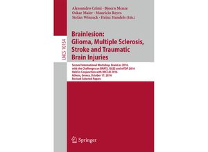 9783319555232 - Brainlesion Glioma Multiple Sclerosis Stroke and Traumatic Brain Injuries Kartoniert (TB)