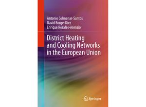 9783319579511 - District Heating and Cooling Networks in the European Union - Antonio Colmenar-Santos David Borge-Díez Enrique Rosales Asensio Kartoniert (TB)