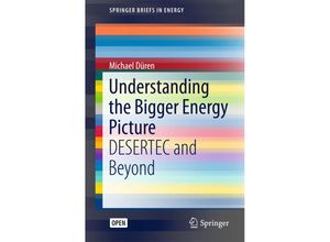 9783319579658 - SpringerBriefs in Energy   Understanding the Bigger Energy Picture - Michael Düren Kartoniert (TB)