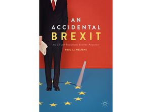 9783319582702 - An Accidental Brexit - Paul J J Welfens Kartoniert (TB)