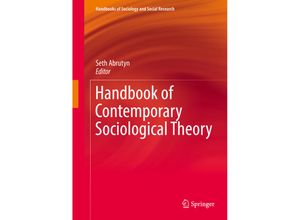 9783319616018 - Handbooks of Sociology and Social Research   Handbook of Contemporary Sociological Theory Kartoniert (TB)