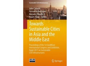 9783319616445 - Sustainable Civil Infrastructures   Towards Sustainable Cities in Asia and the Middle East Kartoniert (TB)