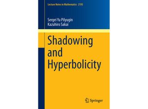 9783319651835 - Shadowing and Hyperbolicity - Sergei Yu Pilyugin Kazuhiro Sakai Kartoniert (TB)