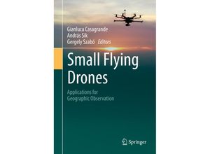 9783319665764 - Small Flying Drones Gebunden