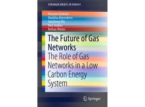 9783319667836 - SpringerBriefs in Energy   The Future of Gas Networks - Meysam Qadrdan Muditha Abeysekera Jianzhong Wu Nick Jenkins Bethan Winter Kartoniert (TB)