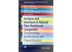 9783319714097 - SpringerBriefs in Molecular Science   Surfaces and Interfaces in Natural Fibre Reinforced Composites - Nicolas Le Moigne Belkacem Otazaghine Stéphane Corn Hélène Angellier-Coussy Anne Bergeret Kartoniert (TB)