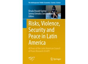 9783319738079 - Risks Violence Security and Peace in Latin America Kartoniert (TB)