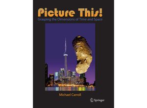 9783319796970 - Picture This! - Michael Carroll Kartoniert (TB)