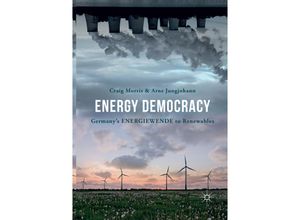 9783319811451 - Energy Democracy - Craig Morris Arne Jungjohann Kartoniert (TB)