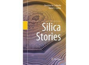 9783319853062 - Silica Stories - Christina De La Rocha Daniel J Conley Kartoniert (TB)