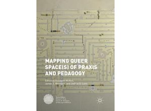 9783319878386 - Queer Studies and Education   Mapping Queer Space(s) of Praxis and Pedagogy Kartoniert (TB)