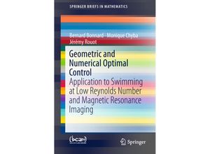 9783319947907 - SpringerBriefs in Mathematics   Geometric and Numerical Optimal Control - Bernard Bonnard Monique Chyba Jérémy Rouot Kartoniert (TB)