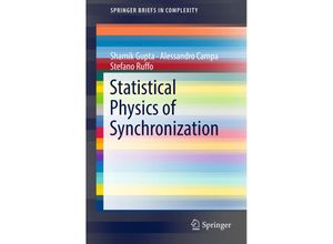 9783319966632 - SpringerBriefs in Complexity   Statistical Physics of Synchronization - Shamik Gupta Alessandro Campa Stefano Ruffo Kartoniert (TB)