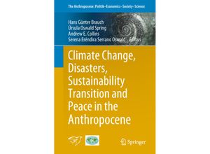 9783319975610 - Climate Change Disasters Sustainability Transition and Peace in the Anthropocene Kartoniert (TB)