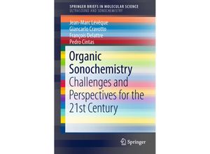 9783319985534 - SpringerBriefs in Molecular Science   Organic Sonochemistry - Jean-Marc Lévêque Giancarlo Cravotto François Delattre Pedro Cintas Kartoniert (TB)