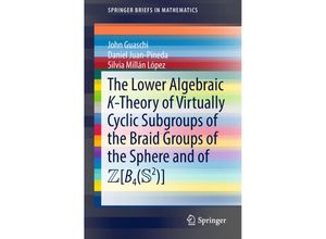 9783319994888 - SpringerBriefs in Mathematics   The Lower Algebraic K-Theory of Virtually Cyclic Subgroups of the Braid Groups of the Sphere and of ZB4(S2) - John Guaschi Daniel Juan-Pineda Silvia Millán López Kartoniert (TB)