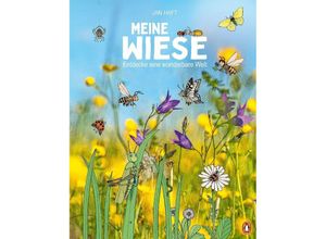 9783328301837 - Meine Wiese - Entdecke eine wunderbare Welt - Jan Haft Gebunden