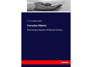 9783337025618 - Everyday Objects - W H Davenport Adams Kartoniert (TB)