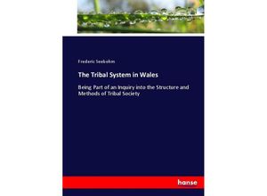 9783337060602 - The Tribal System in Wales - Frederic Seebohm Kartoniert (TB)