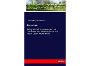 9783337077990 - Socialism - A J Starkweather S Robert Wilson Kartoniert (TB)