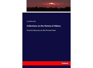 9783337098643 - Collections on the History of Albany - Joel Munsell Kartoniert (TB)