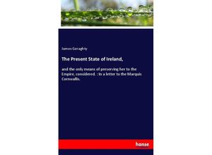 9783337101947 - The Present State of Ireland - James Geraghty Kartoniert (TB)