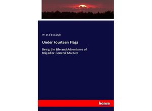 9783337136703 - Under Fourteen Flags Kartoniert (TB)