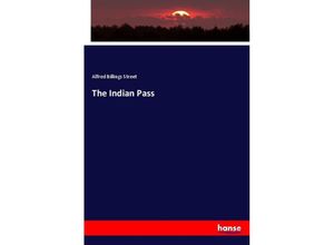 9783337304140 - The Indian Pass - Alfred Billings Street Kartoniert (TB)