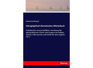 9783337309930 - Hieroglyphisch-Demotisches Wörterbuch - Heinrich Karl Brugsch Kartoniert (TB)