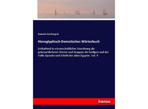 9783337309954 - Hieroglyphisch-Demotisches Wörterbuch - Heinrich Karl Brugsch Kartoniert (TB)