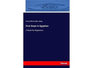 9783337330279 - First Steps in Egyptian - Ernest Alfred Wallis Budge Kartoniert (TB)