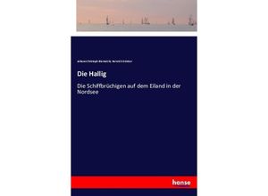 9783337356798 - Die Hallig - Johann Christoph Biernatzki Heinrich Düntzer Kartoniert (TB)