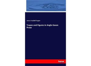 9783337416911 - Tropes and Figures in Anglo-Saxon Prose - James Waddell Tupper Kartoniert (TB)