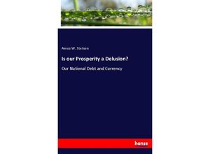 9783337434298 - Is our Prosperity a Delusion? - Amos W Stetson Kartoniert (TB)