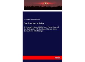 9783337552930 - San Francisco in Ruins - A M Allison James David Givens Kartoniert (TB)