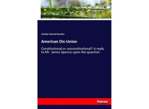 9783337655013 - American Dis-Union - Charles Edward Rawlins Kartoniert (TB)
