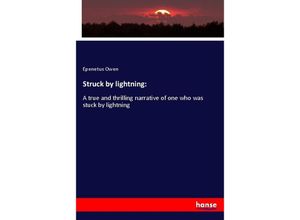 9783337657536 - Struck by lightning - Epenetus Owen Kartoniert (TB)