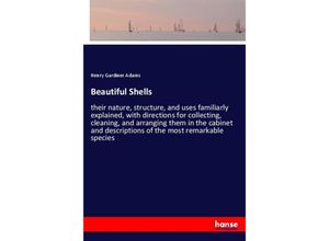 9783337747244 - Beautiful Shells - Henry Gardiner Adams Kartoniert (TB)