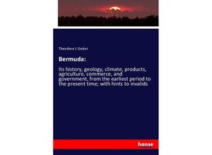 9783337774806 - Bermuda - Theodore L Godet Kartoniert (TB)