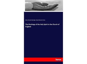 9783337791469 - The Workings of the Holy Spirit in the Church of England - Henry Edward Manning Edward Bouverie Pusey Kartoniert (TB)