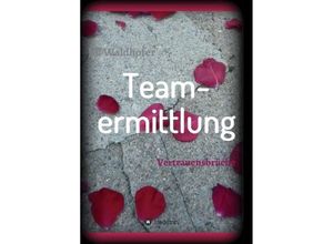 9783347085688 - Teamermittlung - Jill Waldhofer Kartoniert (TB)