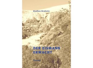 9783347095533 - Der Eismann erwacht - Steffen Brabetz Kartoniert (TB)