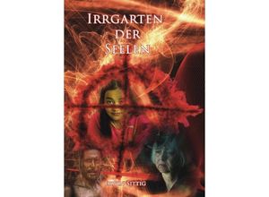 9783347123816 - Irrgarten der Seelen - Erwin Sittig Kartoniert (TB)