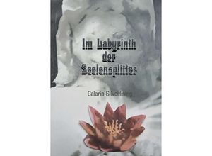 9783347227453 - Im Labyrinth der Seelensplitter - Carlaria Silverlining Kartoniert (TB)